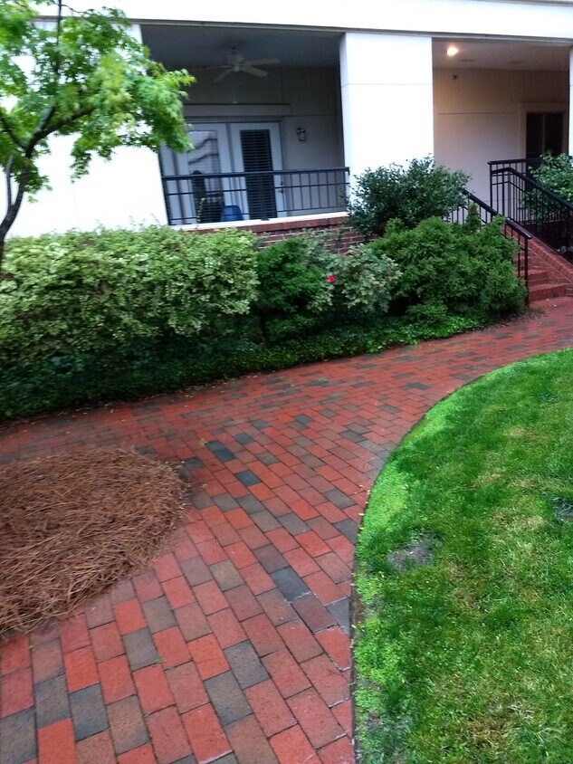 218 E Davie St Unit 218, Raleigh, NC 27601 Condo for Rent in Raleigh