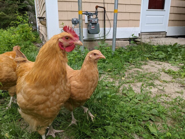 Foto del edificio - 1795 Congress St