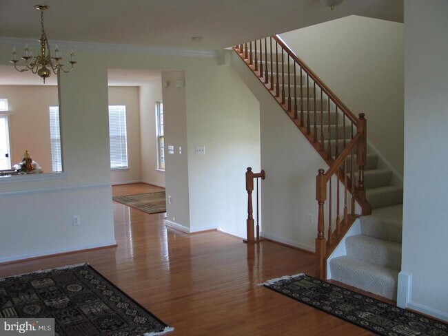 Building Photo - 648 Belmont Bay Dr