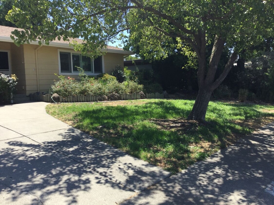 Primary Photo - Spacious 5 bedroom 3 bath house in Davis