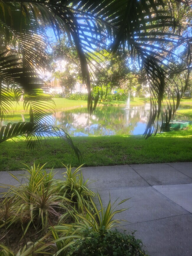 Nice View - 850 S Tamiami Trl