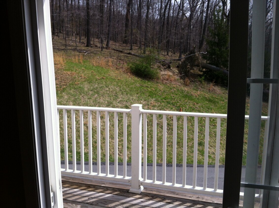 Balcony with View - 248 palisades drive