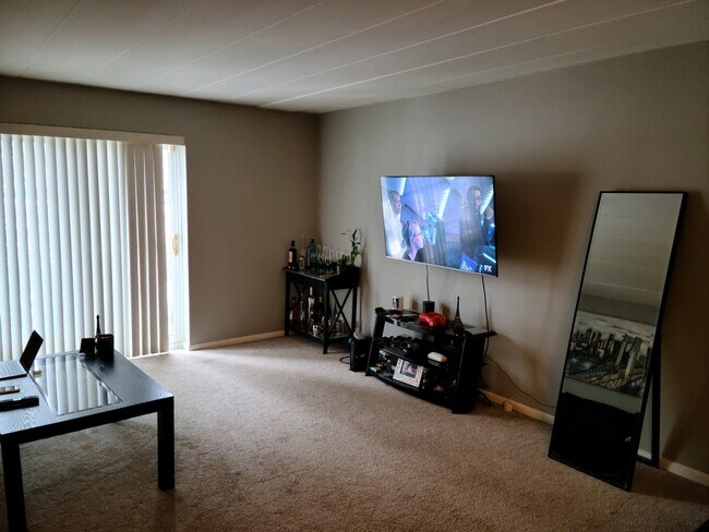 Living room - 300 S Roselle Rd