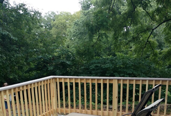 Hermosa y privada terraza con vista al parque de la ciudad. - 705 Elsom St