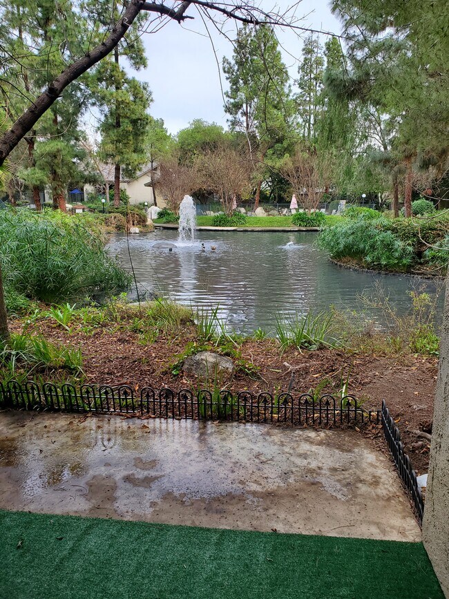 Orange Lakes - 4900 E Chapman Ave