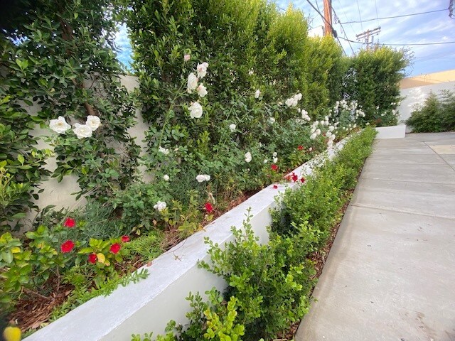 Large Private Patio - 14848 Delano St