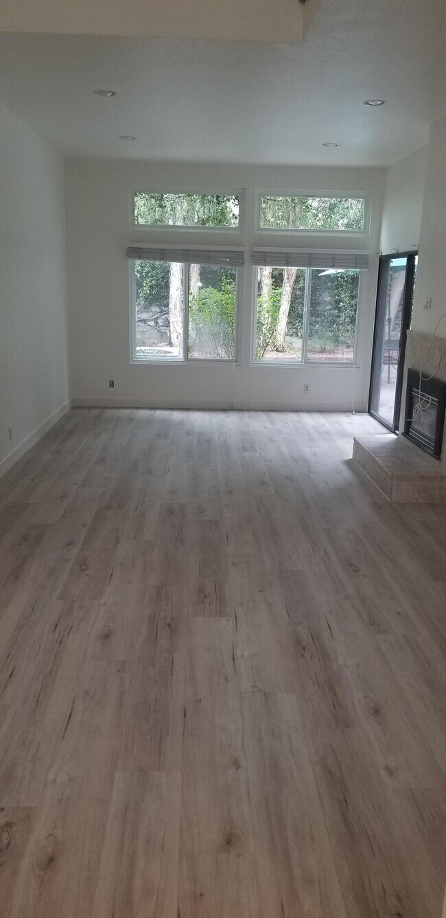 Living Room - 29716 Windsong Ln