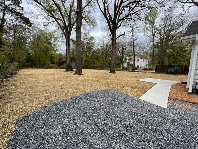 Rear Yard - 723 S Confederate Ave