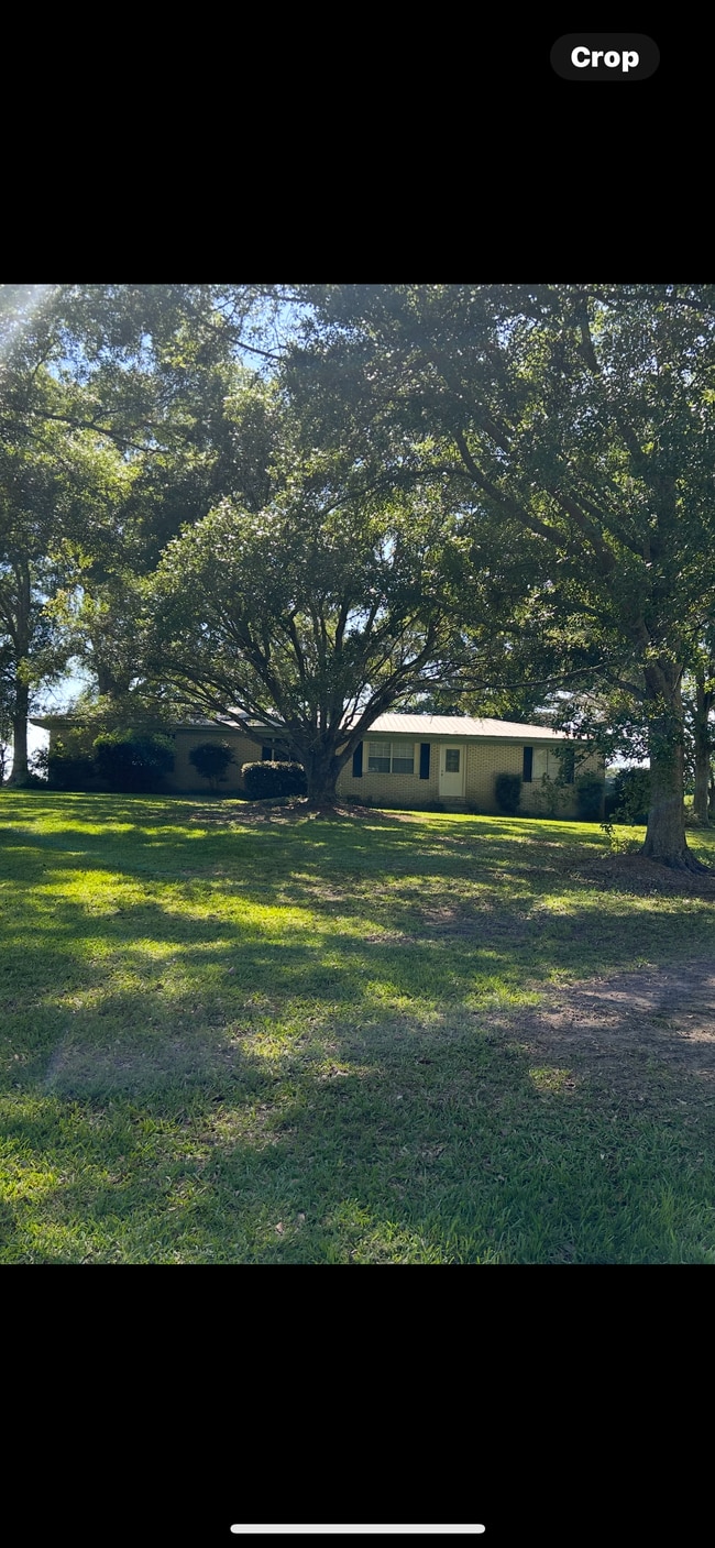 Building Photo - 393 Niemeyer Rd
