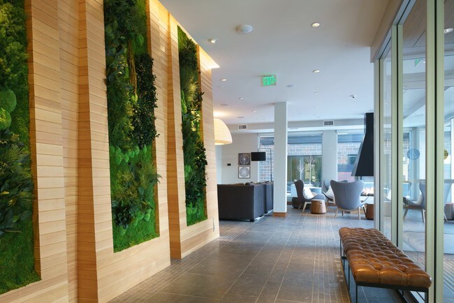 Los apartamentos Island Residences — foto de la comunidad - The Island Residences