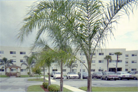 Primary Photo - Gardenia Gardens