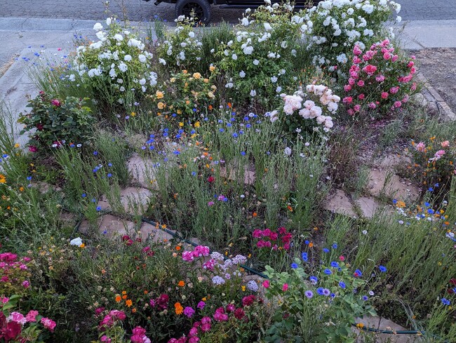 Foto del edificio - 138 Viewmont Ave