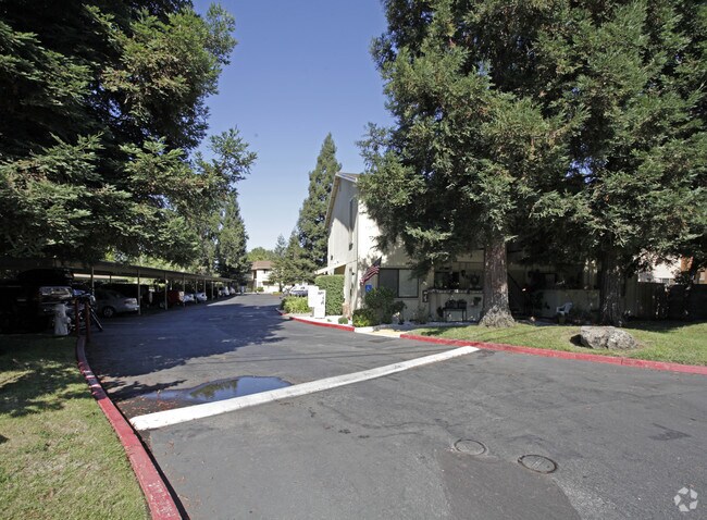Canyon Oaks Apartments Rentals - Orangevale, CA | Apartments.com Canyon Oaks Apartments Rentals - Orangevale, CA | Apartments.com