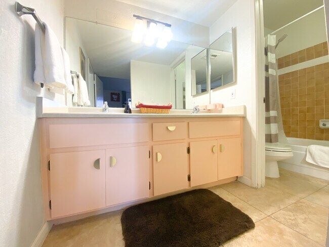 Private Sinks - 1215 E LEMON St