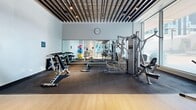 Located at 133 Bronte Rd in Oakville, Ontario, this contemporary fitness facility offers a thoughtfully designed, single-floor space that combines functionality with modern aesthetics. The gym floor is lined with floor-to-ceiling windows along one side, flooding the space with natural light and offering views of the surrounding neighbourhood. Light hardwood flooring runs throughout, complemented by a distinctive slatted wood-and-metal ceiling design with integrated track lighting that adds an industrial-chic character to the interior.

The cardio zone features a row of treadmills and elliptical trainers positioned along the window wall, allowing users to exercise with an outdoor view. The strength training area is well-appointed with a multi-station cable machine, a dumbbell rack, weight benches, and stability balls, supported by full-length wall mirrors that enhance the sense of openness. A water station and sanitation amenities are conveniently accessible within the space.

A dedicated studio area occupies one end of the facility, boasting its own large windows, high ceilings, wall-to-wall mirrors with a ballet barre, and an open hardwood floor — ideal for group classes, stretching, or yoga. The space is accessed through bold navy double doors, adding a striking design accent. Overall, the facility presents a clean, bright, and professional environment well-suited for a comprehensive fitness experience.