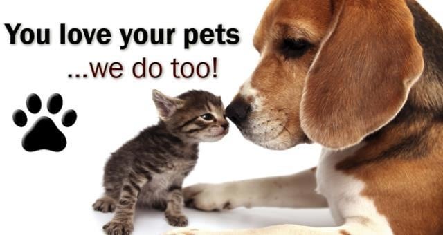 PET FRIENDLY - Bridgewater Pointe Apartments