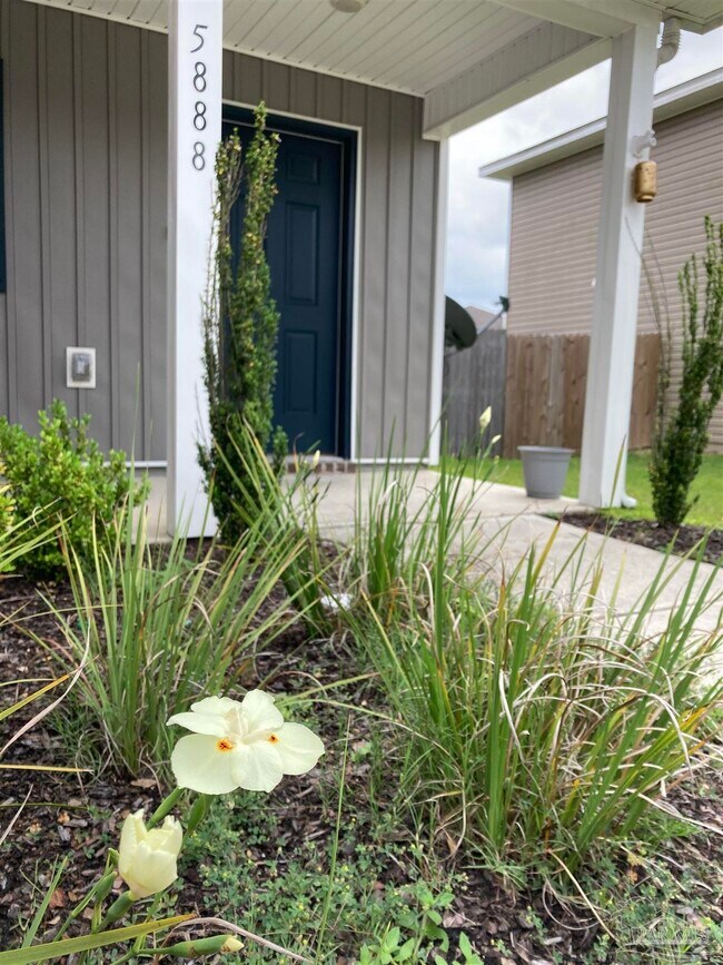 Foto del edificio - 5888 Southern Bell Court