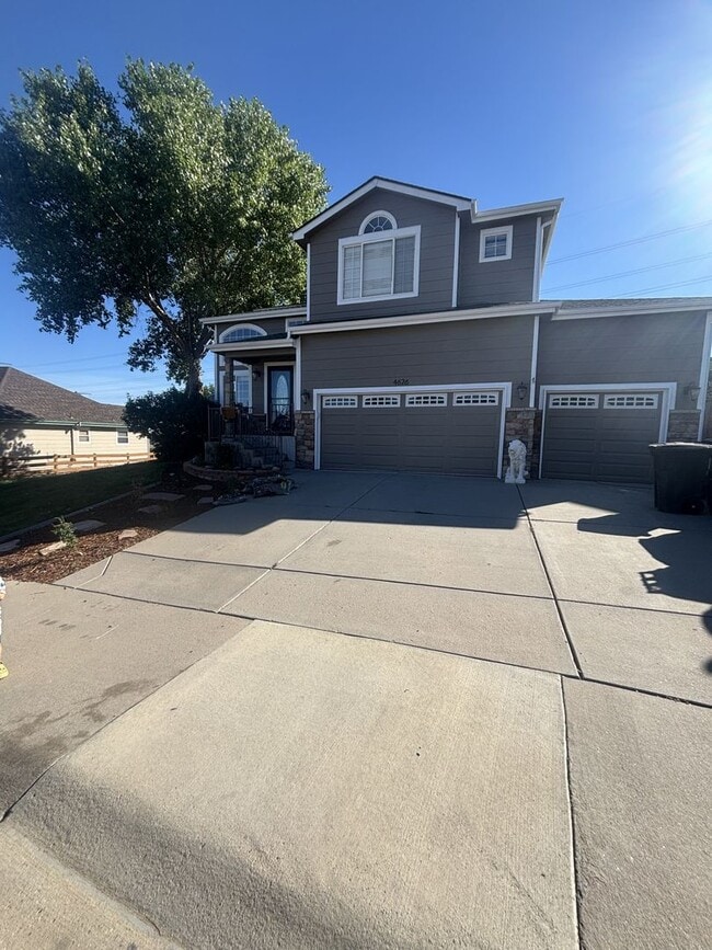 Building Photo - 4626 Bancroft Dr