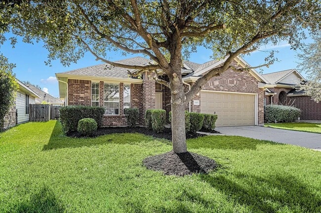 Mature Oak - 7327 Boerne Creek Dr