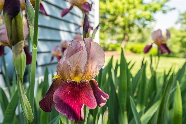 Foto del edificio - 7 Swift Ln