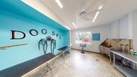 Located at 1900 Bella Vista Way in Port St. Lucie, Florida, this professional Dog Spa is a purpose-built grooming facility designed to provide a comprehensive and comfortable experience for pets and their owners. The single-room space makes efficient use of its compact footprint, housing a well-organized array of professional grooming equipment throughout.

The interior is defined by a bold turquoise accent wall boldly labeled "DOG SPA," creating an energetic and welcoming focal point. Grooming arm restraints and professional-grade blow dryers are mounted directly to the wall, keeping the workspace tidy and functional. Multiple non-slip grooming tables provide dedicated stations for styling and finishing work, while a large stainless steel bathing tub offers a dedicated washing area with built-in plumbing fixtures.

The flooring is a polished stone-style surface, durable and easy to sanitize—ideal for a pet care environment. Overhead fluorescent lighting and a ceiling fan ensure the space remains bright, well-ventilated, and comfortable. A window along one wall allows natural light to enter and provides views of the surrounding greenery. Colorful pet-themed artwork decorates the walls, adding a cheerful ambiance.

Additional amenities include treat dispensers, a waste disposal station, a fire extinguisher, and clearly posted Pet Spa Rules, reflecting a commitment to safety and professionalism. A glass-paneled door provides easy access.