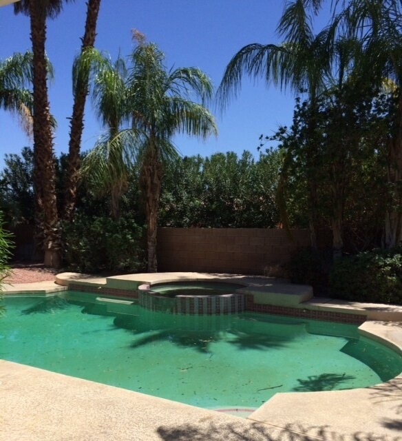 Foto del edificio - COMING SOON! 4 Bed/2 Bath POOL HOME in Pal...
