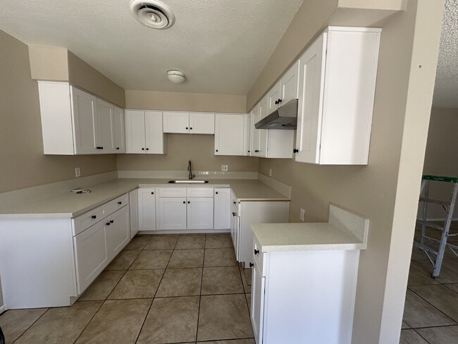 Building Photo - 1145 Olive Tree Ln