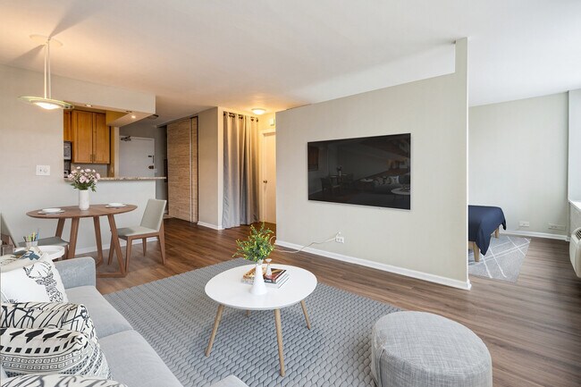 Foto del edificio - 1455 N Sandburg Terrace