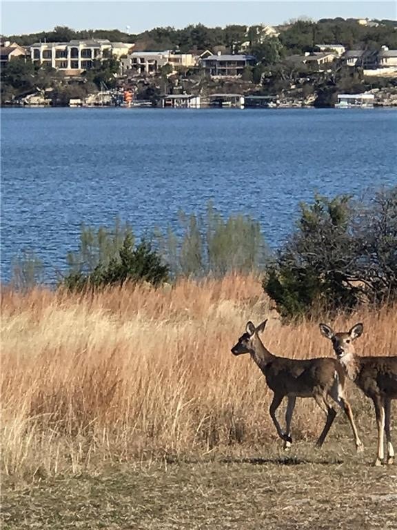 205 Venture Blvd S, Point Venture, TX 78645 Townhome Rentals in Point