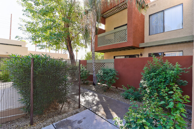 Building Photo - 3500 N Hayden Rd
