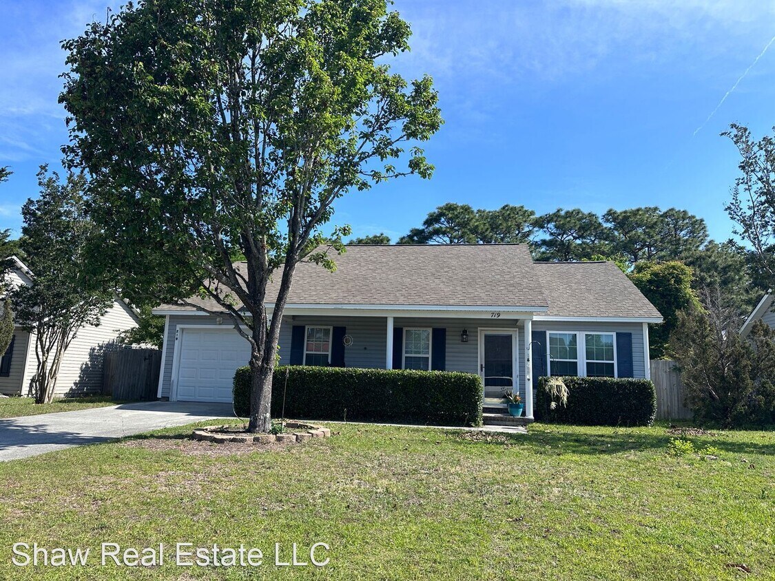 Primary Photo - 3 br, 2 bath House - 719 Brewster Lane