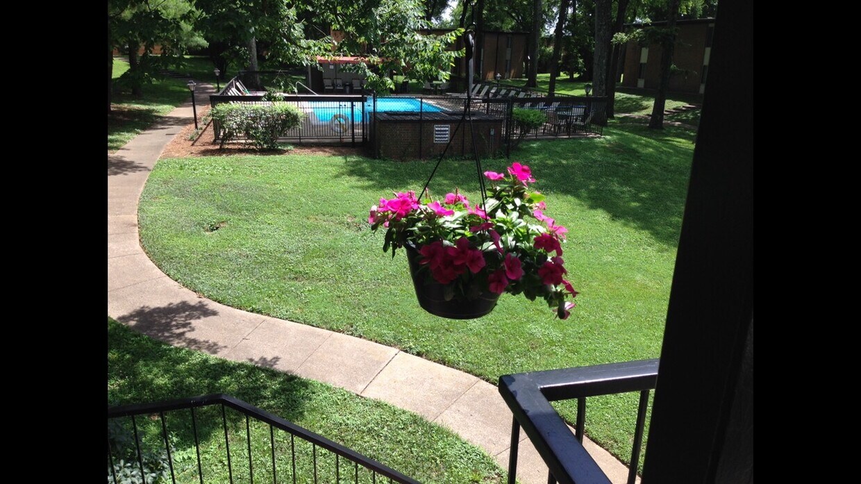 Foto principal - 2601 Hillsboro Pike