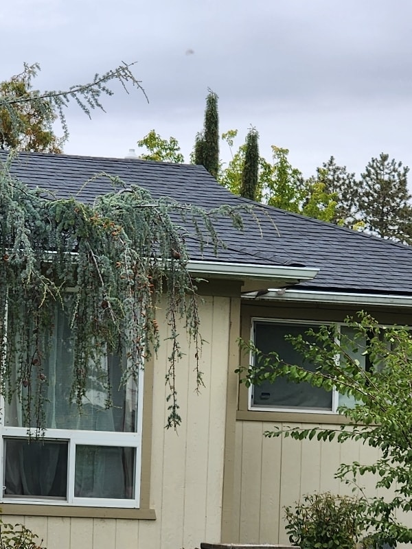 Foto del edificio - 710 Catskill St