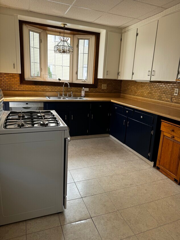 Kitchen - 203 Albany Ave