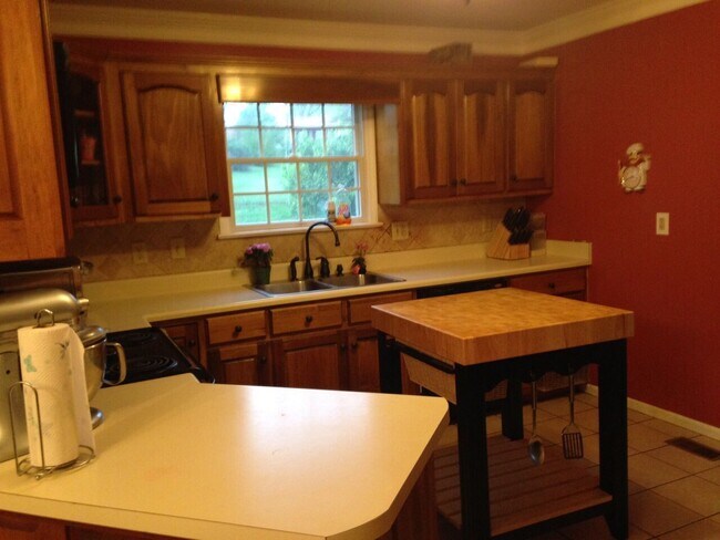 Building Photo - Beautiful Home in Cul-de-sac