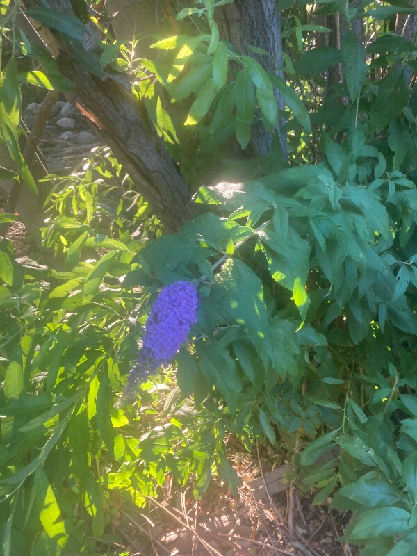Photo - 2350 Osbun Rd
