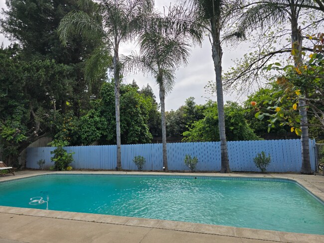 Foto del edificio - 917 Scenic Ct