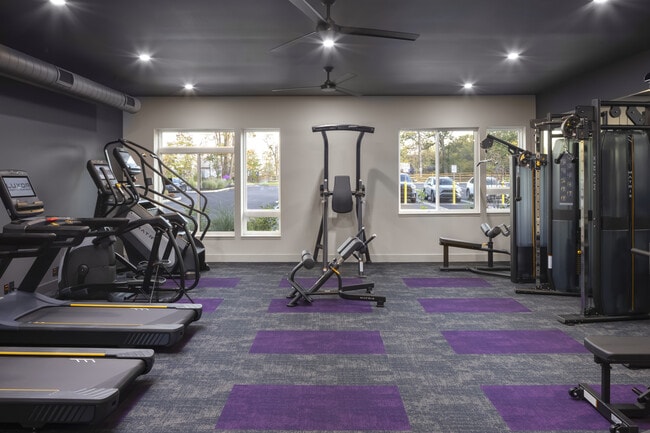 State Of The Art Fitness Center - Luxor Lifestyle Apartments Montgomeryville