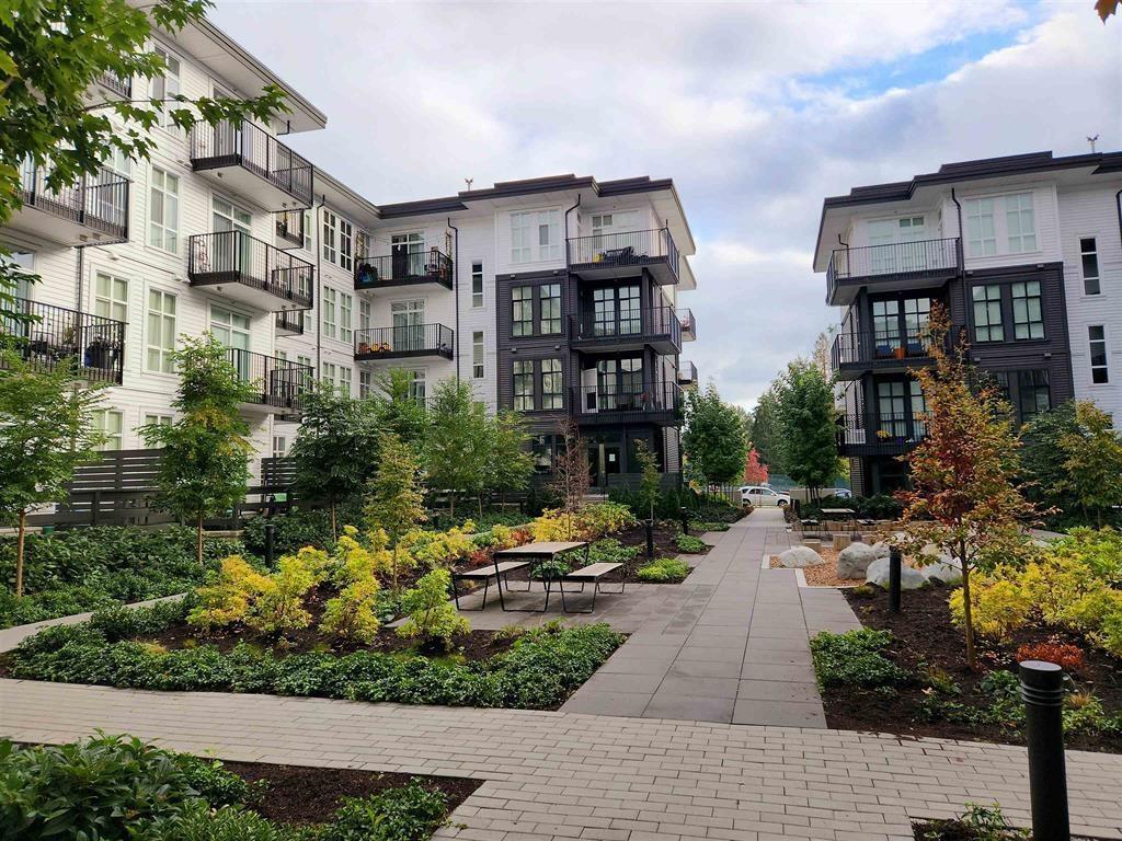 1393313105 105 Blvd, Surrey, BC V3T 0R6 House for Rent in Surrey, BC