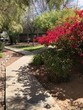 Primary Photo - 9101 N Thornydale Rd