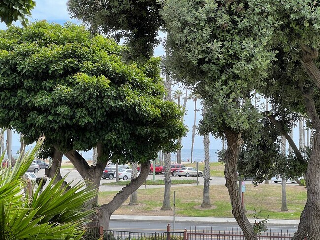 Foto del edificio - Two bedroom condo on the beach
