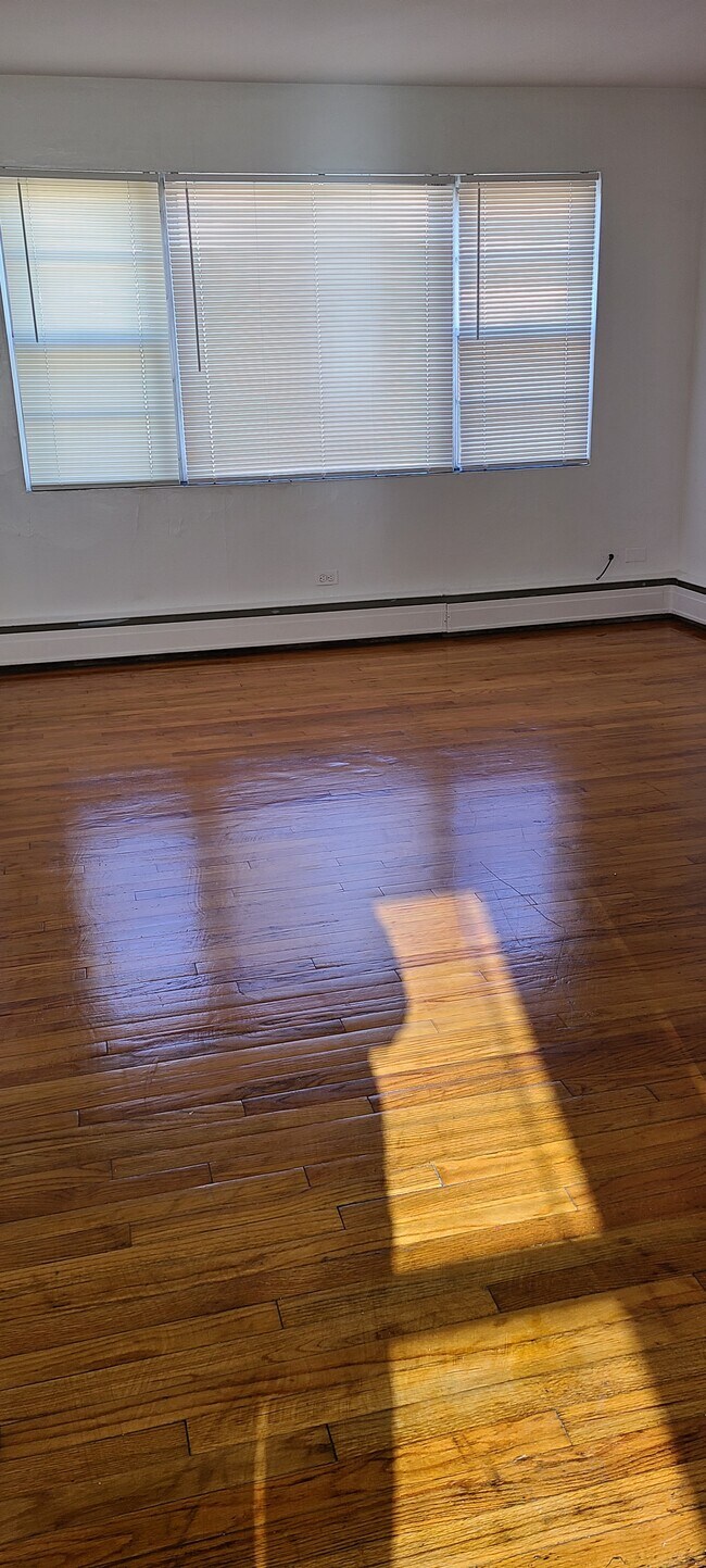 Living Room - 1410 N 1st Ave