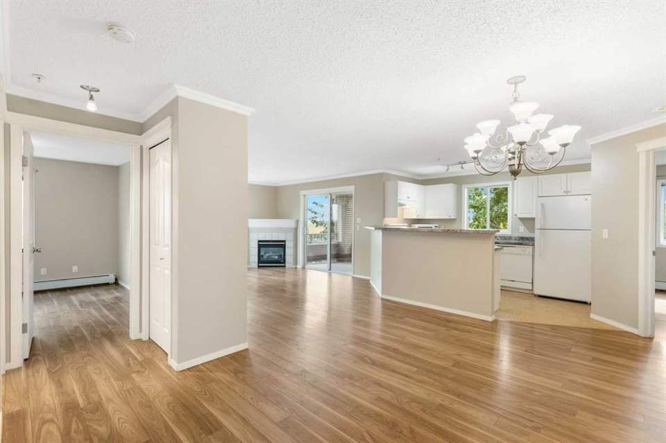 Primary Photo - 4000 Somervale Crt SW