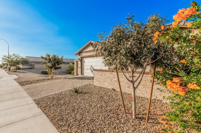 Building Photo - 11022 W Levi Dr