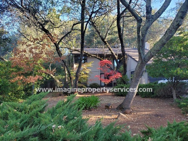 Building Photo - Beautiful Cameron Park Home For Rent