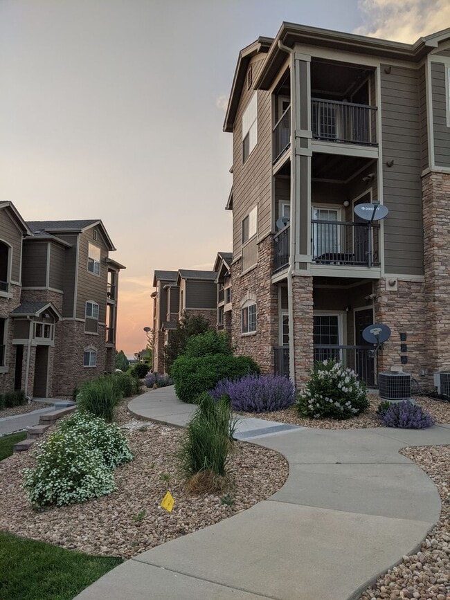 Building Photo - 2800 Blue Sky Cir