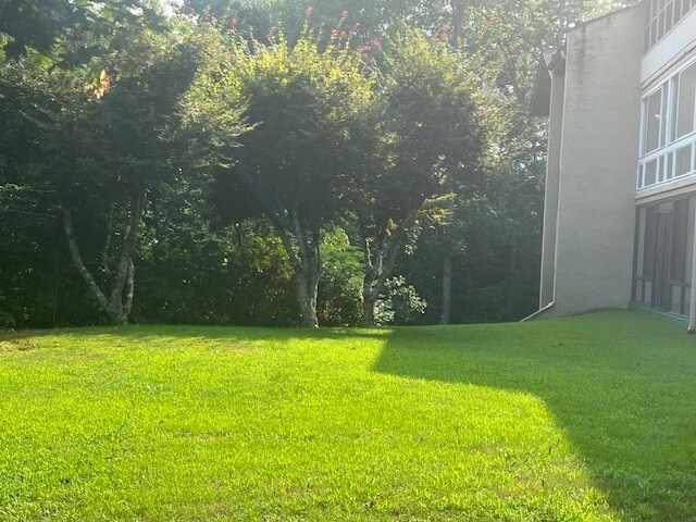 Foto del edificio - 224 Woodland Rd