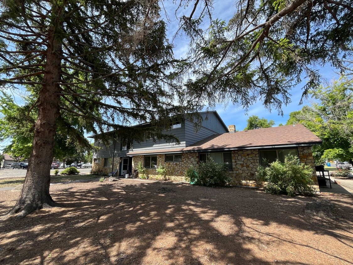 Primary Photo - Charming Studio Unit Near Downtown Redmond...