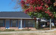 Primary Photo - Liveoak Village