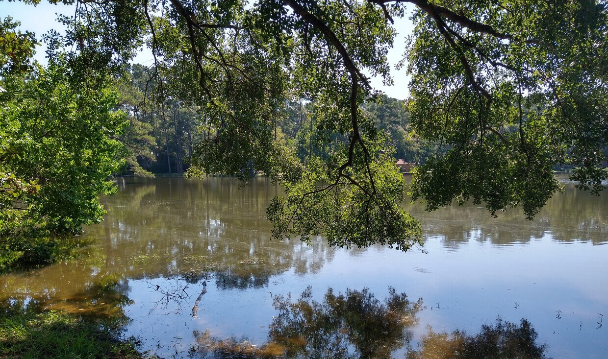 Vista frente al mar - 6040 Cessna Dr